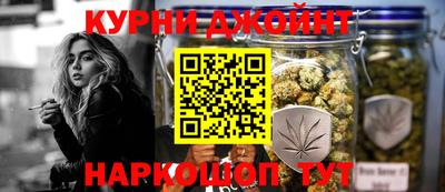 скорость Гатчина