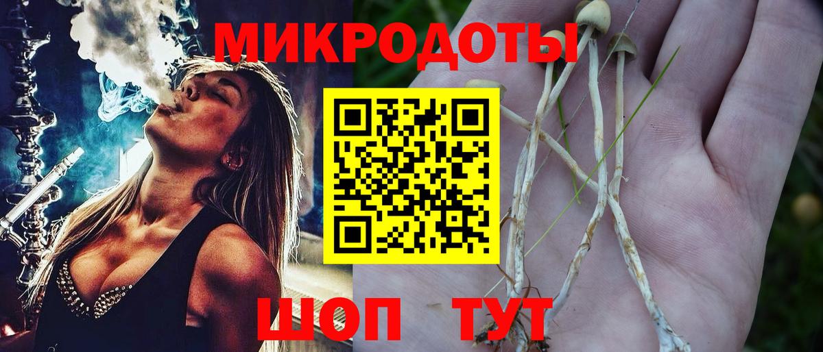 Псилоцибиновые грибы Мыски