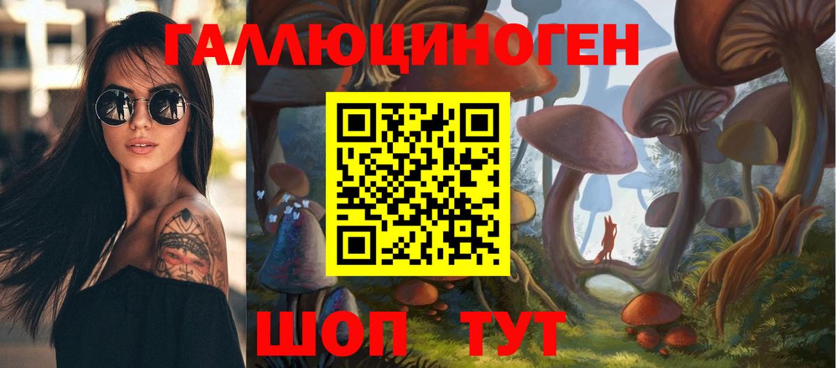 Псилоцибиновые грибы мицелий Мыски