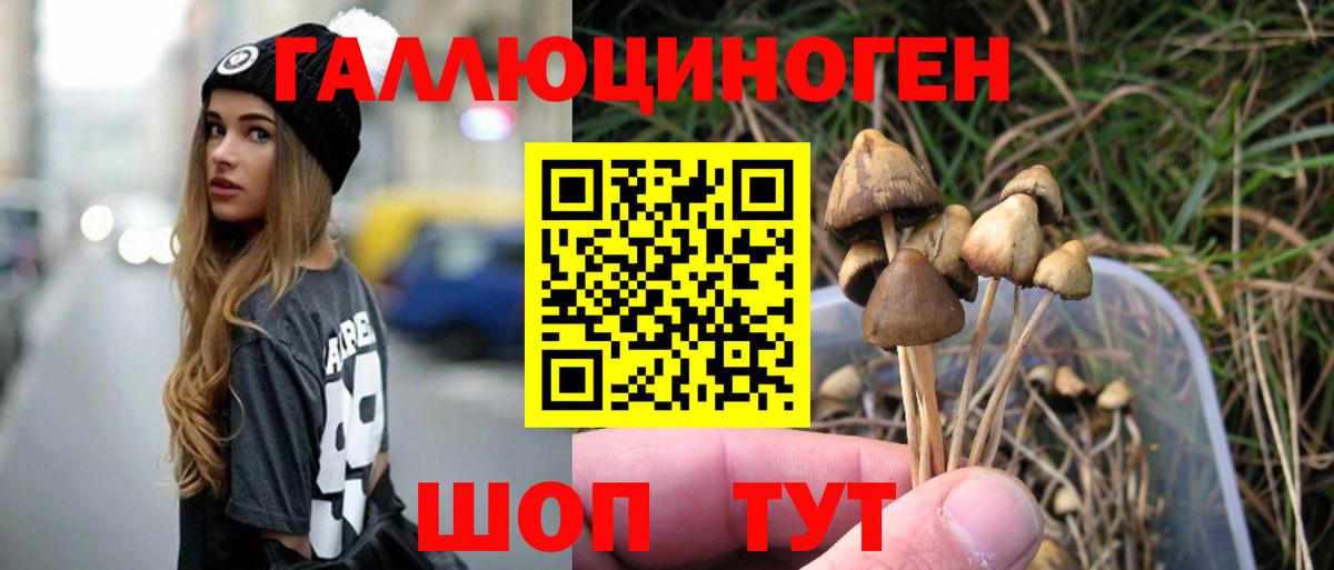 Мыски  Галлюциногенные грибы мухоморы  Вход с VPN  Псилоцибиновые грибы MAGIC MUSHROOMS 